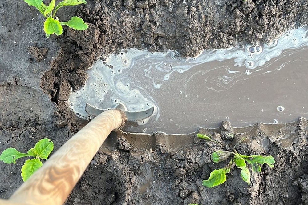 Droogte, extreme regen en hitte zorgen voor steeds grotere risico's in landbouw