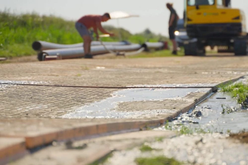 Top 10 grondbescherming specialisten in Nederland