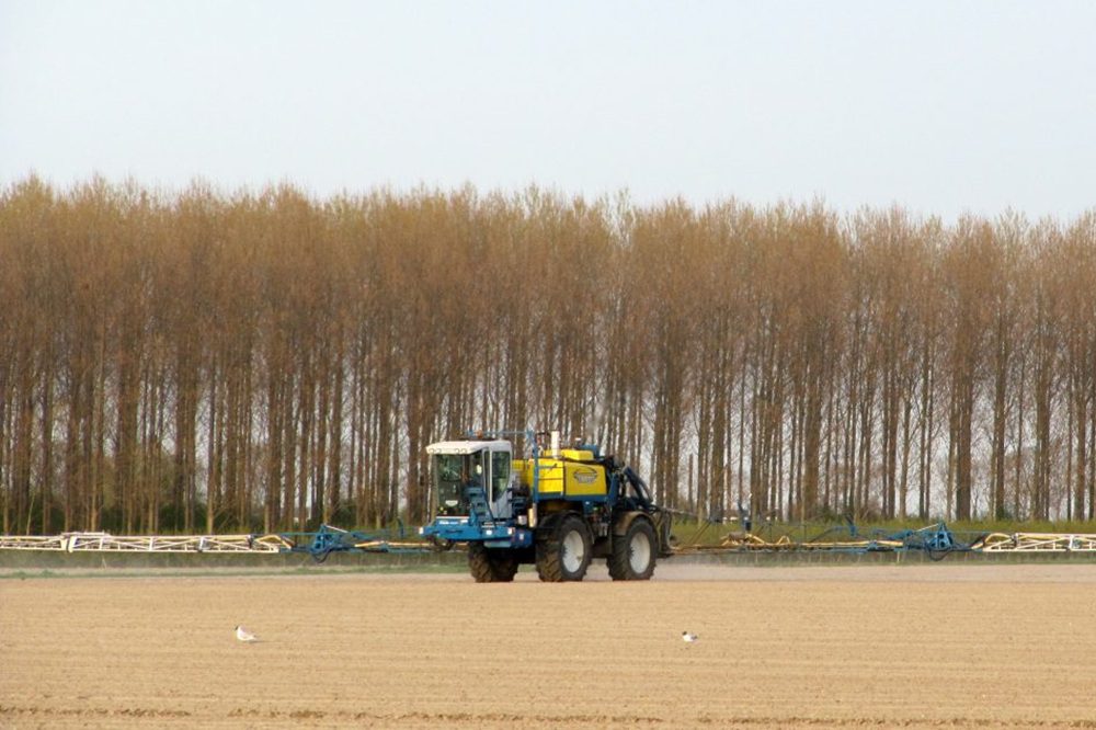 Bodemherbiciden toepassen direct na het zaaien van bieten