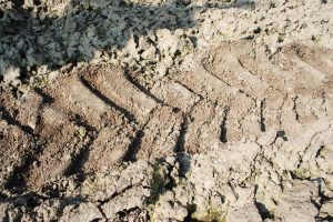 "De kwaliteit van de bodem bepaalt de opbrengst"