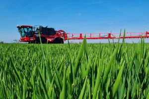 Bladvoeding verhoogt efficiëntie van stikstofbemesting