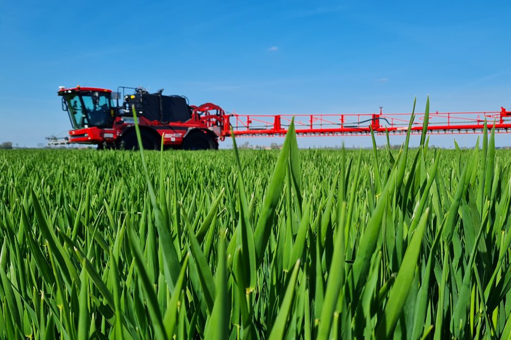 Bladvoeding verhoogt efficiëntie van stikstofbemesting