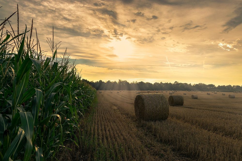 Staakt-het-vuren en weersinvloeden drukken grondstoffenprijzen 
