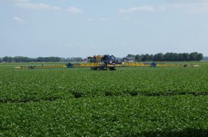 Ctgb laat nieuwe fungicide toe voor de aardappelteelt