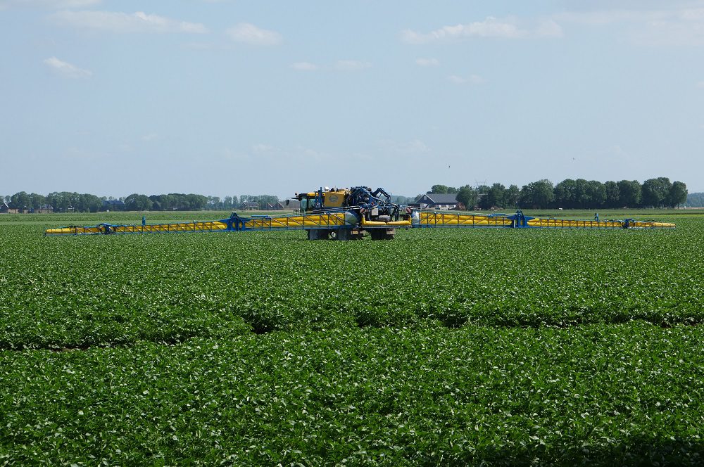 Ctgb laat nieuwe fungicide toe voor de aardappelteelt