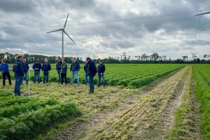 Voorbereidingen vierde editie Nationale Peen Manifestatie in volle gang