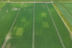 Biedt BOS de doorbraak waar teelten op wachten?