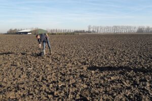 Wat is het stikstofgehalte op de suikerbietenpercelen?