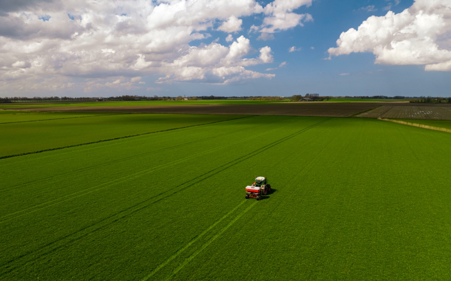 Hoge prijzen en droogte: hoe kan zwavel helpen bij de bemesting?