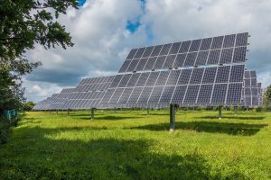 Agri-PV: kansen en gevolgen van teelt tussen zonnepanelen