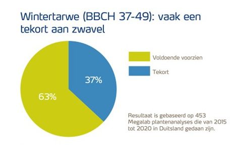 Afbeelding 1 yara