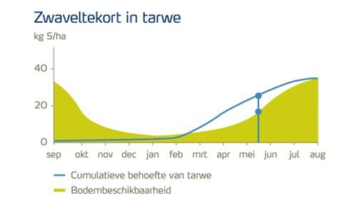 Afbeelding 2 yara