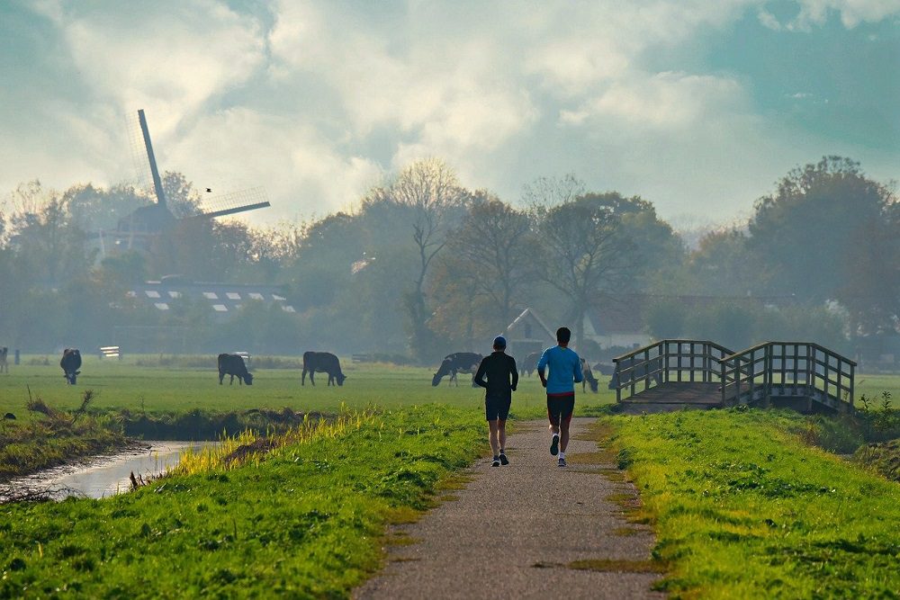 RVO herbeoordeelt ruim 1.300 aanvragen eco-regeling 2025