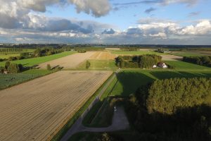 Agrarische grondprijs iets gedaald in eerste kwartaal 2026
