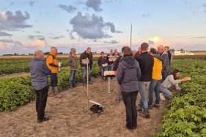 Demovelden bieden kijkje in de toekomst van de aardappelteelt