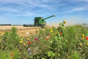 Inspiratie over landbouw en natuurbeheer op akkerbouwbedrijf 'De Westerade'