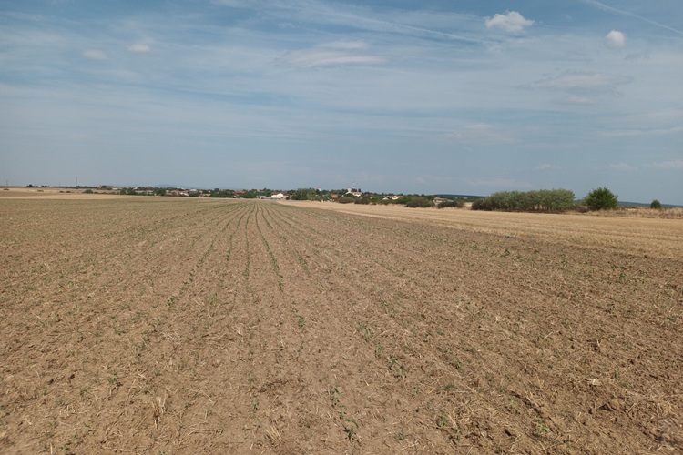 Kamphorst Agrofonds 2.750