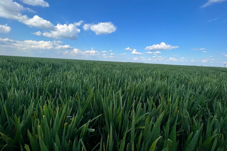 Kamphorst Agrofonds 3.750