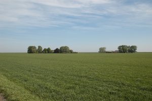 Pachtnormen los bouw- en grasland zijn in 13 van de 14 gebieden gestegen