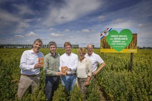 Jumbo kiest voor biologische quinoa uit Nederland