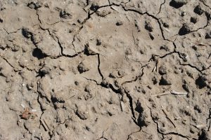 Droogte houdt waarschijnlijk aan tot september: Europese waterreserves blijven laag