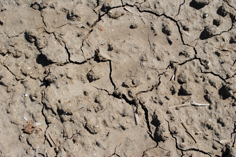 Droogte houdt waarschijnlijk aan tot september: Europese waterreserves blijven laag