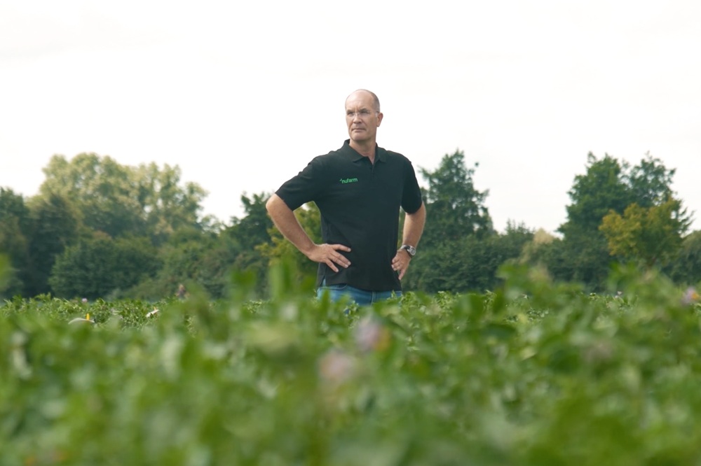 Phytophthora laat zich niet verrassen, wij ook niet