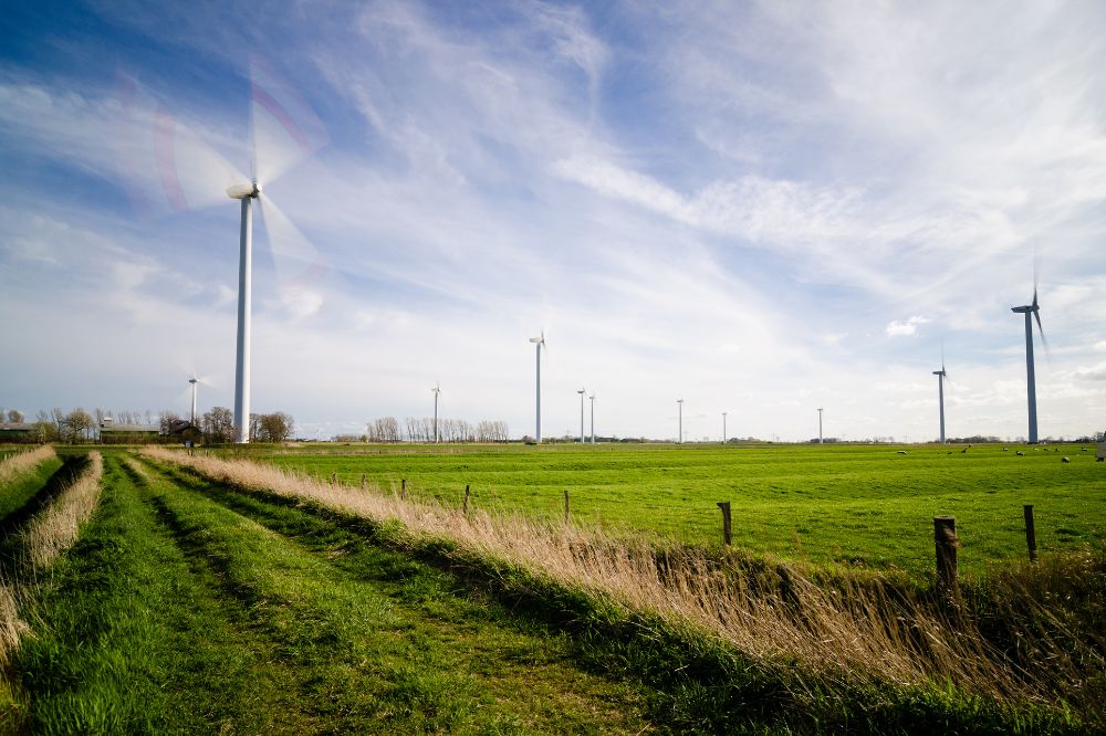 SER pleit voor nieuwe samenwerking rond verduurzaming landbouw