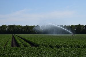 Eerste van acht zoetwaterbassins op Noord-Beveland in gebruik genomen