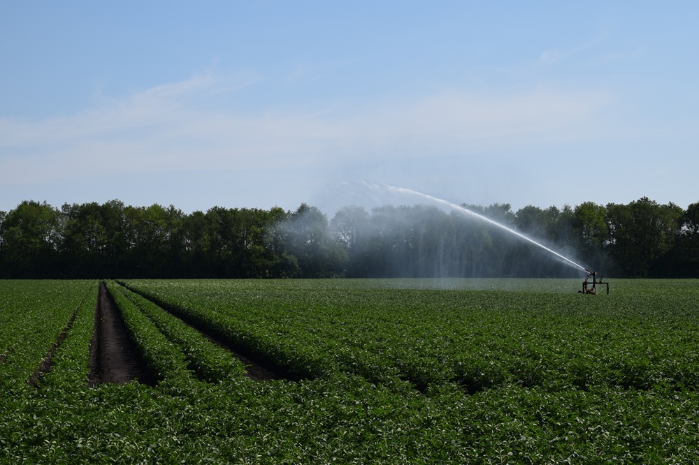 Eerste van acht zoetwaterbassins op Noord-Beveland in gebruik genomen