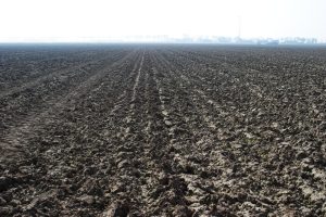 Resultaten N-Mineraal: beperkt risico op uitspoeling