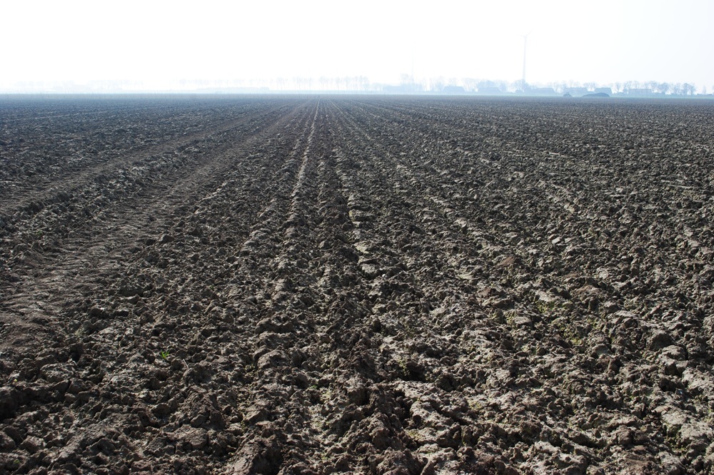 Resultaten N-Mineraal: beperkt risico op uitspoeling