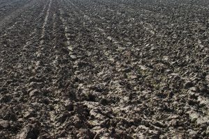 De rol van klei-humuscomplex bij bodemstructuur en gewasgroei