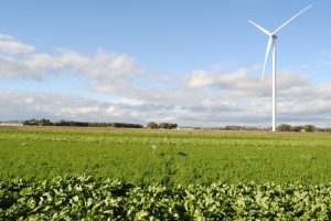 Hoe slimme kavelruil lucht kan geven