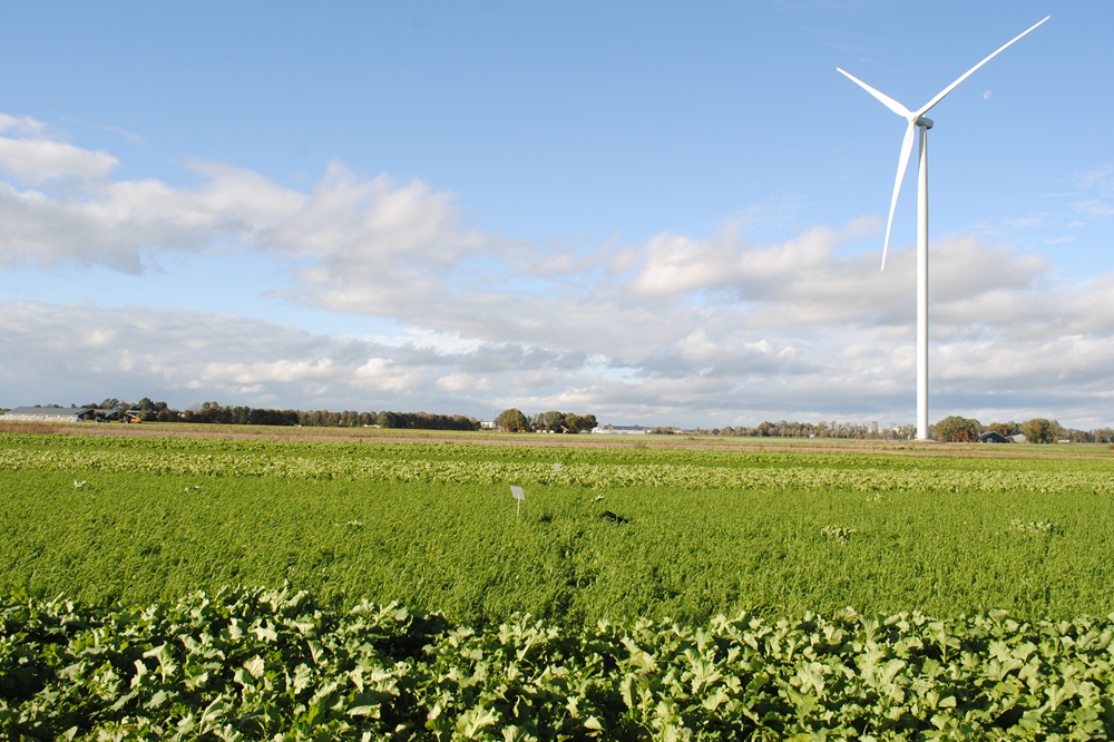 Hoe slimme kavelruil lucht kan geven