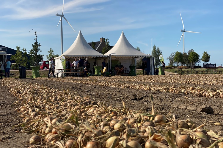 Droogte: welke kansen biedt rassenkeuze?