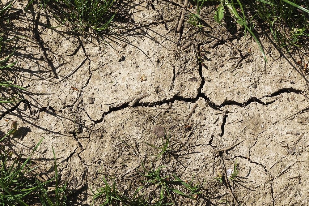 Landelijk draaiboek: hoe wordt schaars water verdeeld?