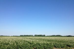 Maximale capaciteit Nmin-meetcampagne 2026 bereikt