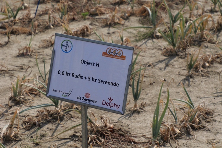 Bayer 750