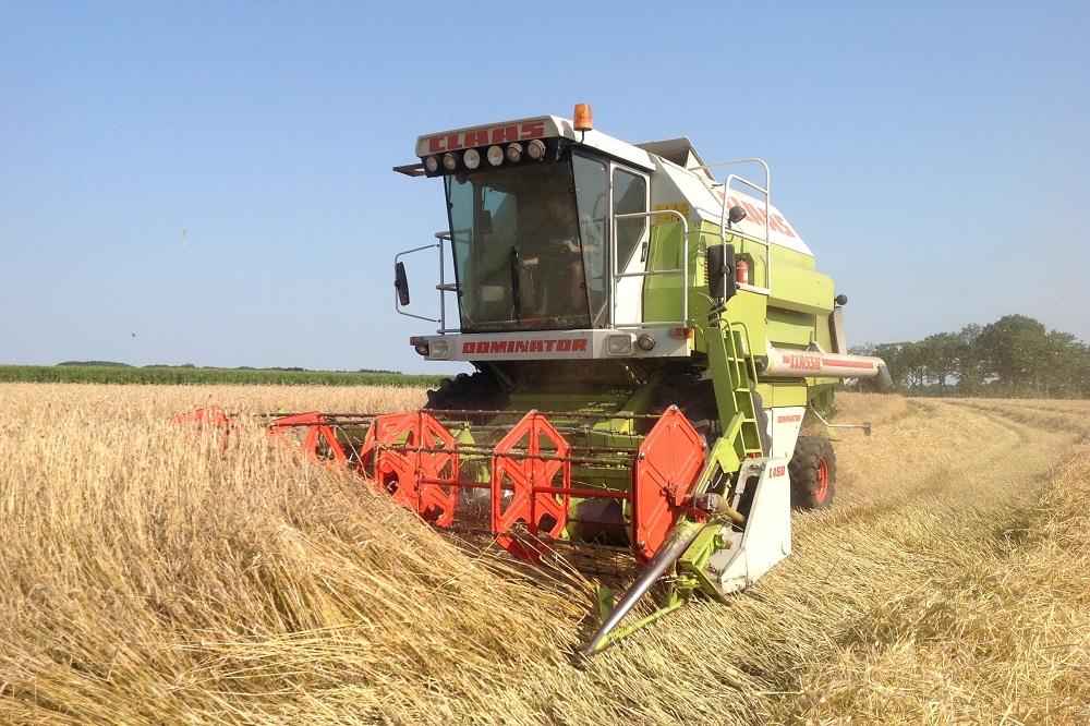 Voorzichtige groei biologische akkerbouw in Vlaanderen
