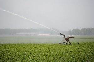 Provincie Zeeland trekt geld uit voor zoetwater en proefboerderij de Rusthoeve