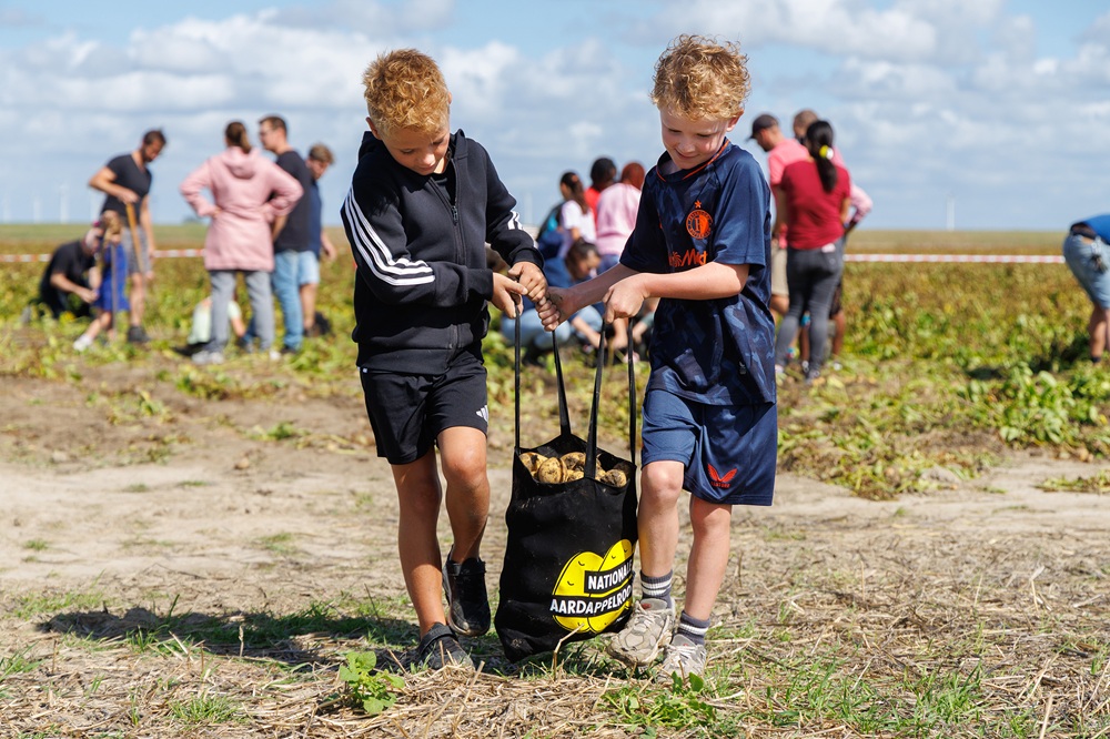 Nationale Aardappelrooidag brengt consument en aardappelsector dichter bij elkaar