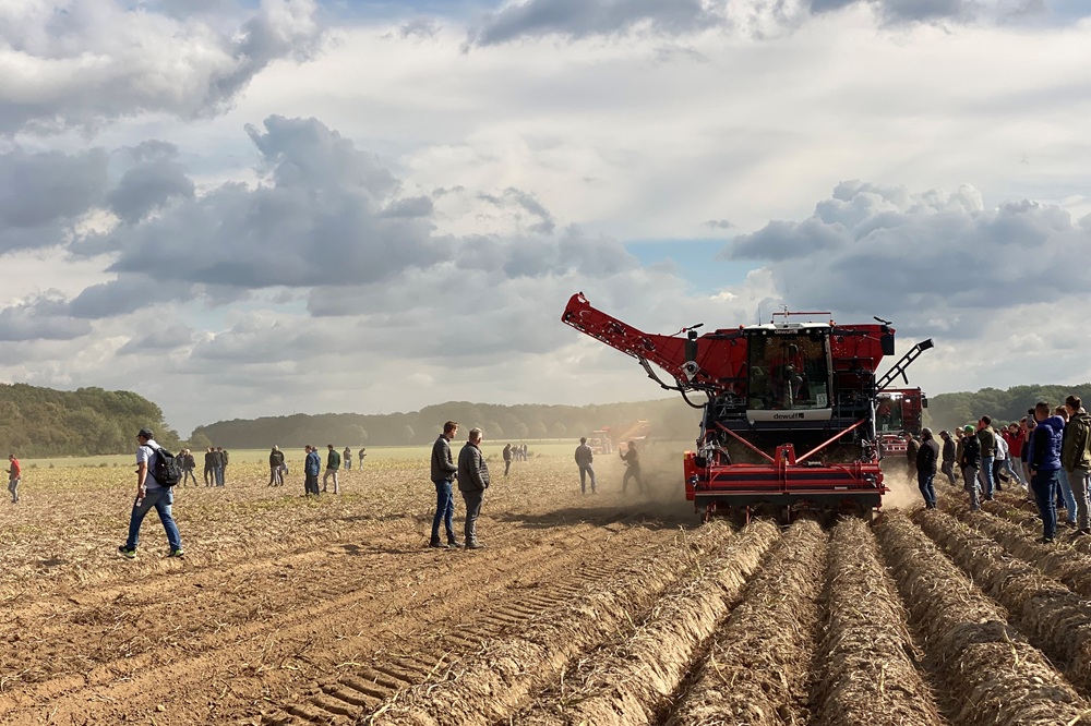 PotatoEurope en SugarBeet Expo: waar een kleine cicade teelten verbindt