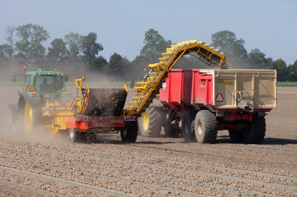 ABN AMRO ziet herstel voor akkerbouw na lastig eerste halfjaar