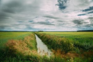 Ctgb bestrijdingsmiddelenatlas is geactualiseerd met meetdata van 2025