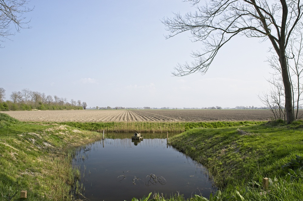 Werken aan een sterke bodem: praktijkvoorbeelden voor beter waterbeheer