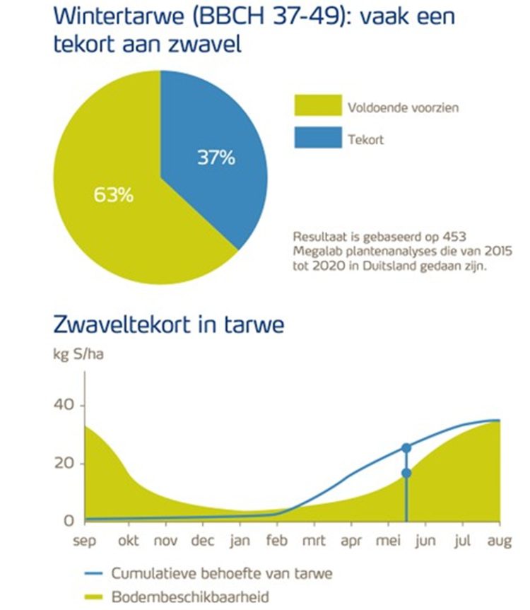 Afbeelding1.750