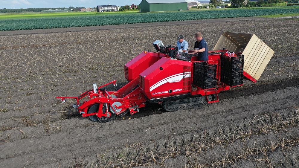 De éénrijige zoete aardappelrooier Harvey.one zorgt voor zeer productvriendelijk rooien van gevoelige knollen. © GRIMME