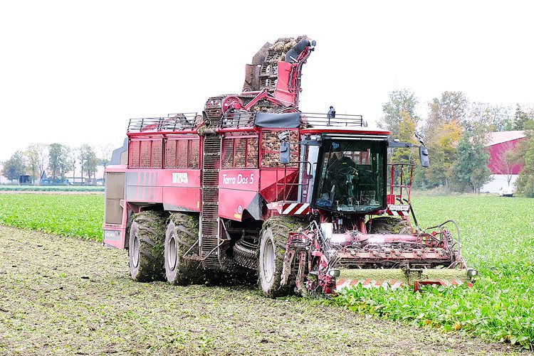 Conviso Smart-bieten en wintertarwe bij Jan Bakker in Dronten